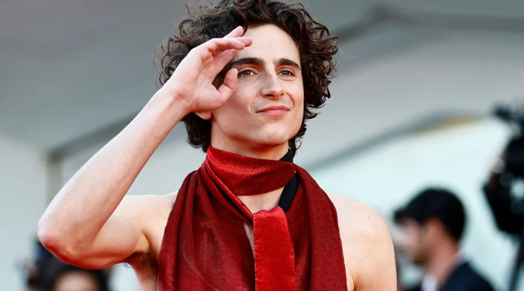 Timothee Chalamet Measurements, Bio, Height, Weight, Education, Awards, Net Worth and More